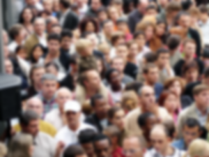 Buls d&rsquo;Info 2019 – Retrouvez les 4 numéros parus sur l&rsquo;année !